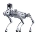Robot Unitree B2