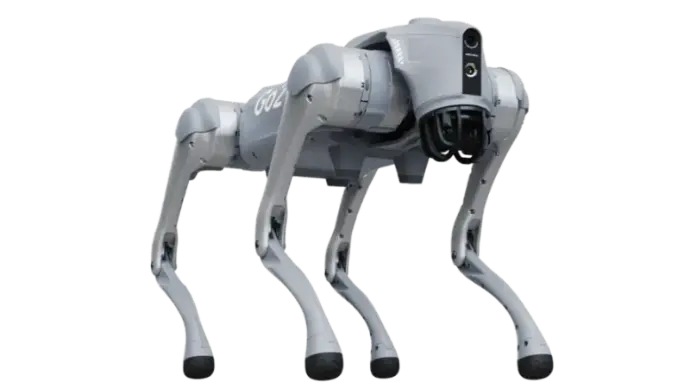 Robot perro