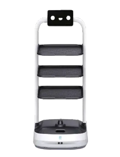 [BOT008-C] Pudubot 2